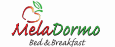 cropped logo color.png